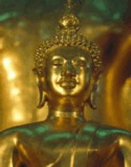 theskullwhisperers/goldlongbuddha.gif